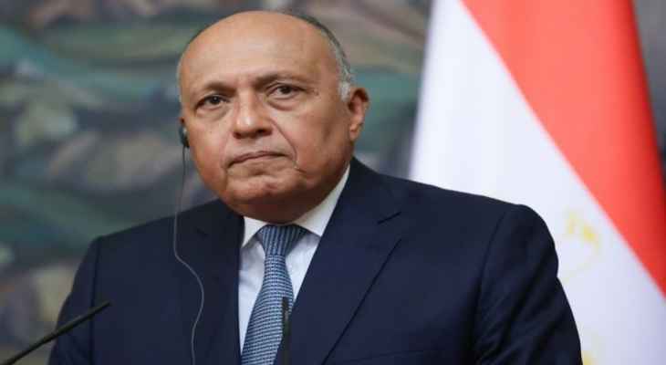 وزير الخارجية المصري: التجربة السورية أثبتت أنه لا حل عسكري لها والسبيل الوحيد للتسوية هو الحل السياسي