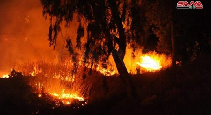 النشرة: تجدد اشتعال النيران في بلدات حمص في مناطق وادي النصارى