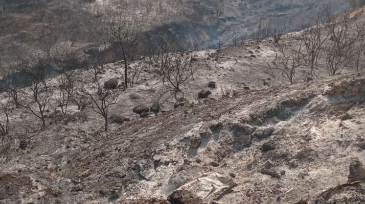 الدفاع المدني: السيطرة على حريق مساحات شاسعة من الأعشاب والأشجار بين الغازية ومغدوشة