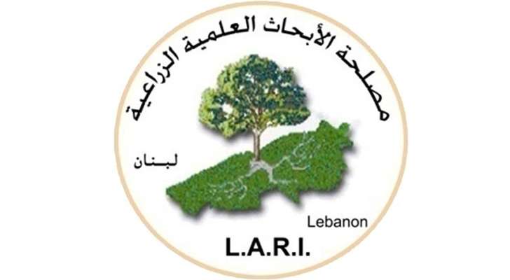 ترشيح Lari  لجائزة درع الحكومة الرقمية العربية للعام 2023