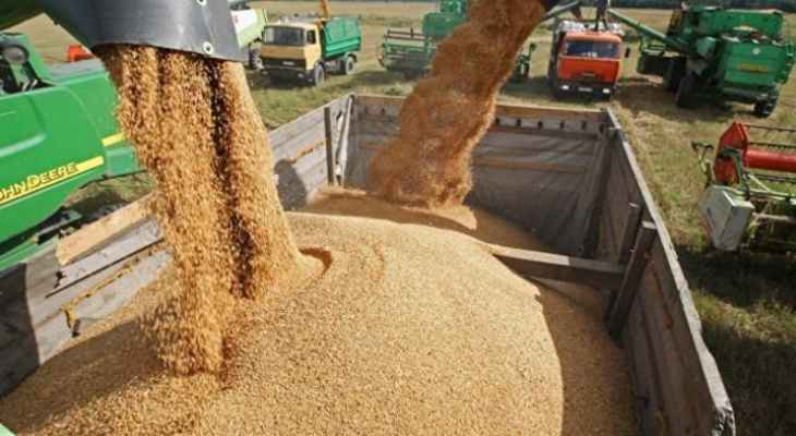 الحكومة الهندية حظرت تصدير القمح بسبب موجة حر شديدة أدت إلى تقليص الإنتاج