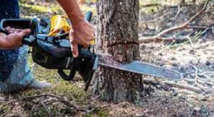 مركز الاحراج في حاصبيا: منع قطع الأشجار من الأملاك العامة تحت طائلة المسؤولية