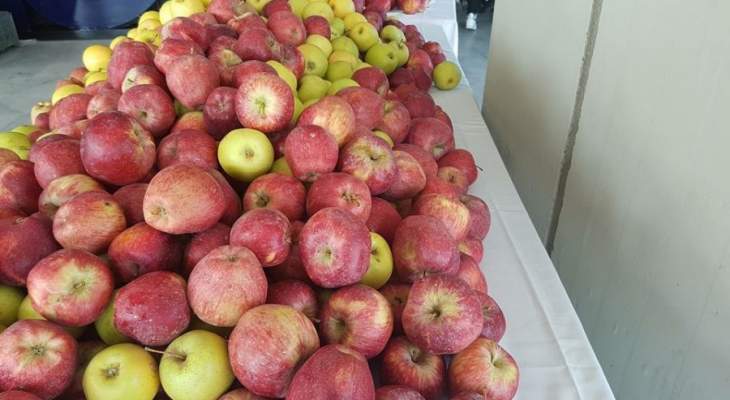 عمادة كلية العلوم تقيم نشاطاً لدعم مزارعي التفاح 