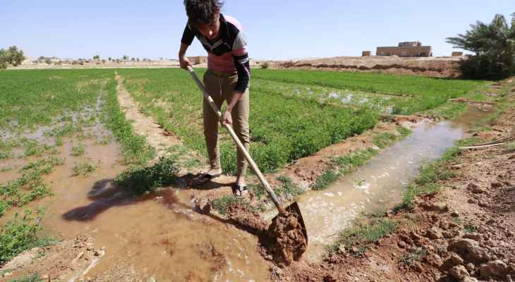 التجارة العراقية: السعودية قدمت مقترحات لتطوير الزراعة في البلاد