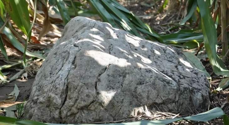 صخرة تحصل على اهتمام عالمي نظرا لشبهها الكبير بـ"تلة"