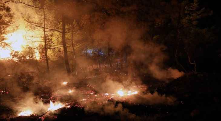 اندلاع حريق غابات في جنوب تركيا