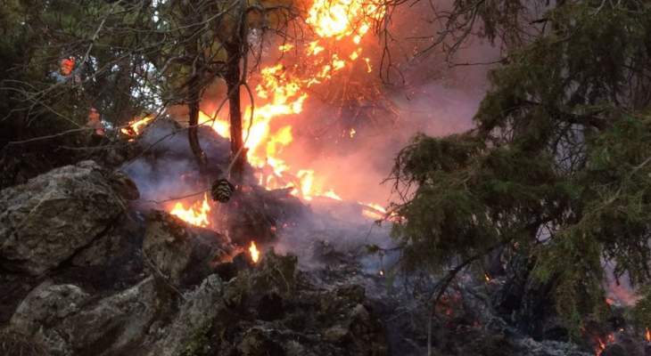 مقتل 26 رجل اطفاء خلال محاولتهم إخماد حريق غابات غربي الصين