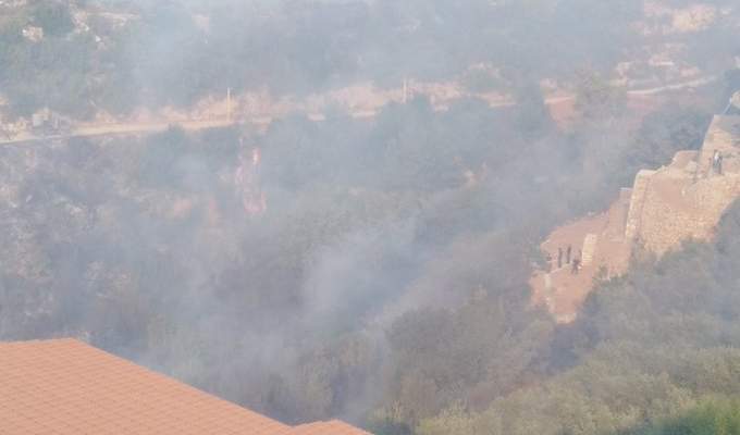 مدير محطة الابحاث العلمية الزراعية في الهرمل: الحريق الذي شب في القبيات بدأ يمتد الى جرود الهرمل
