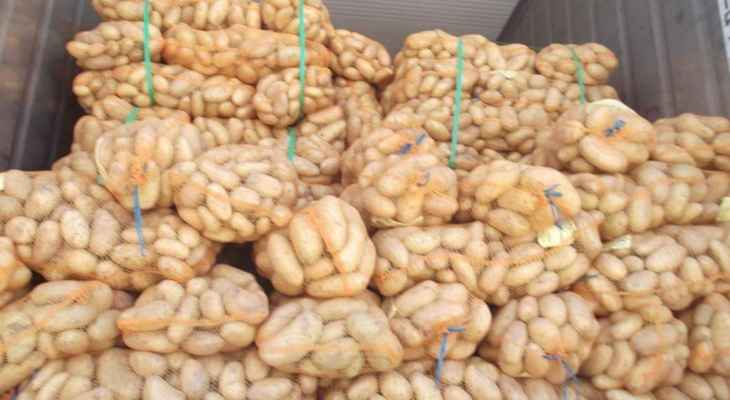 نقابة مزارعي البطاطا: نناشد السعودية إنقاذ الموسم وفتح باب التصدير عبر البر والبحر