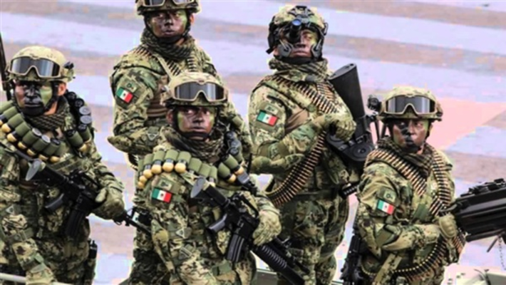 الجيش المكسيكي ضبط شحنة مخدرات تقدر قيمتها بأكثر من 50 مليون دولار