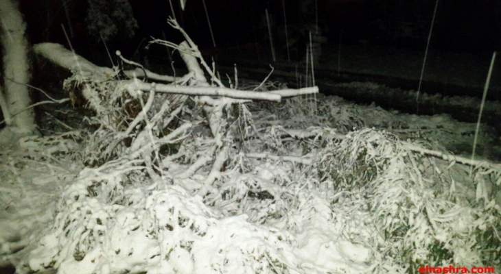 النشرة: سقوط شجرة في حومين التحتا جراء الرياح ادى لانقطاع الكهرباء