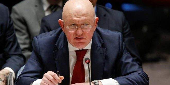 مندوب روسيا بمجلس الأمن: حل الوضع الإنساني بسوريا عبر احترام سيادتها