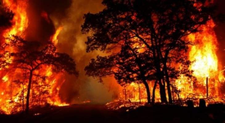 رجال الإطفاء يواصلون مكافحة 100 من حرائق الغابات في نيو ساوث ويلز