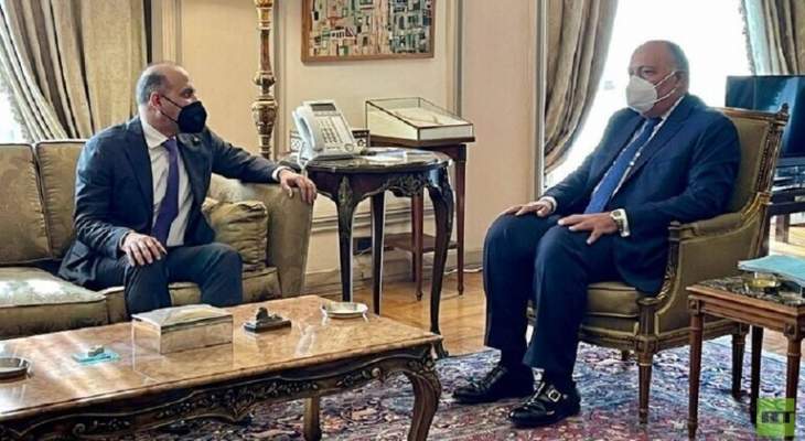وزير خارجية مصر بحث مستقبل الشعب السوري مع رئيس تيار الغد السوري