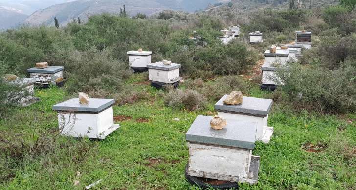 أضرار كبيرة في قفران النحل وخزانات المياه بمرج الطبل ومزرعة المجيدية جراء رشقات نارية إسرائيلية