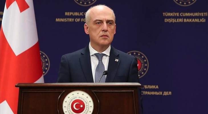 وزير الخارجية الجورجي: العلاقات بيننا وبين تركيا متجذرة 