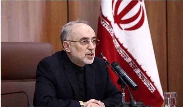 روحاني يمدد تعيين صالحي رئيسا لمؤسسة الطاقة النووية الإيرانية