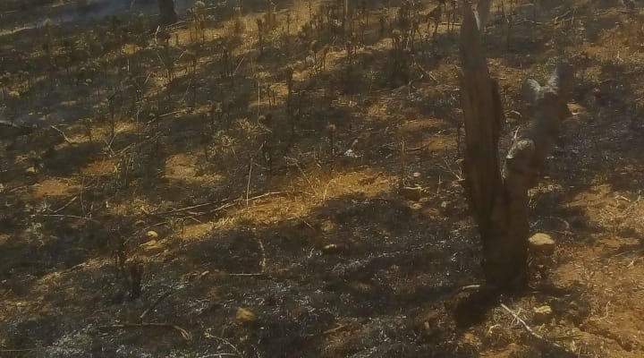 الدفاع المدني أخمد حريقا في مستودع في الصويري - البقاع الغربي