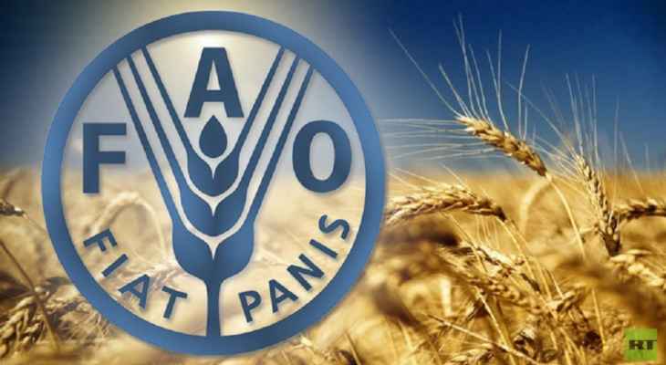 "الفاو": إمدادات الحبوب الروسية ستساعد في وقف انتشار المجاعة