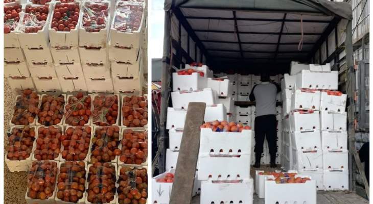 جمارك طرابلس أوقفت شاحنة محملة بكمية من شرحات الطماطم السورية المهربة