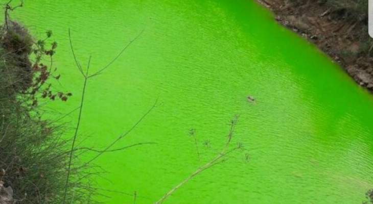 النيابة العامة البيئية تحقق في أسباب تلون مياه نهر الكلب بالأخضر