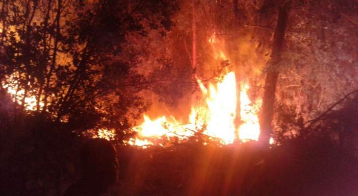 النشرة: إندلاع حريق أعشاب قرب مستشفى الهمشري في صيدا