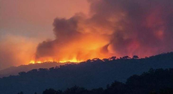 مقتل 12 شخصا ومحاصرة 4 آلاف آخرين نتيجة حرائق الغابات في أستراليا