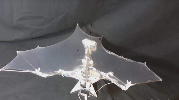 تصنيع روبوت طائر على شكل خفاش