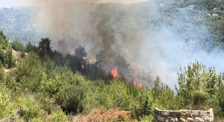 حريق في خراج بلدة غريفة الشوف لا يزال مستمرا منذ أمس وفرق الإطفاء تعمل على إخماده