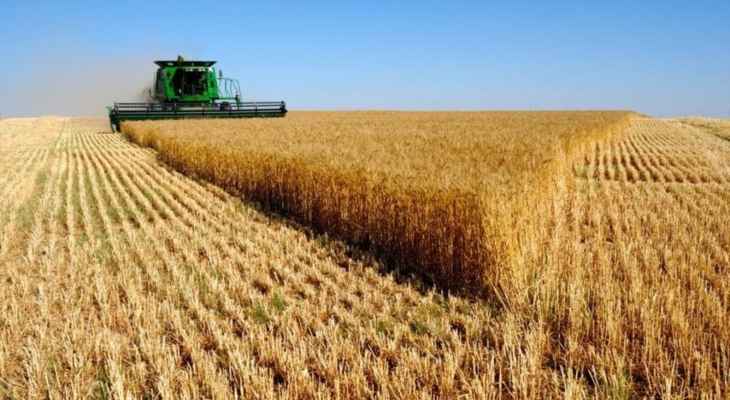وزارة التجارة الهندية: نجري محادثات أخيرة لبدء تصدير القمح إلى مصر