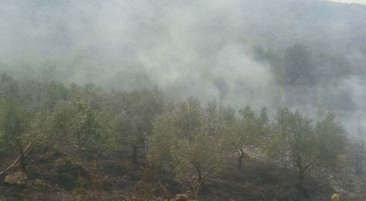 اندلاع حريق في حرج السنديان في رحبة عكار 