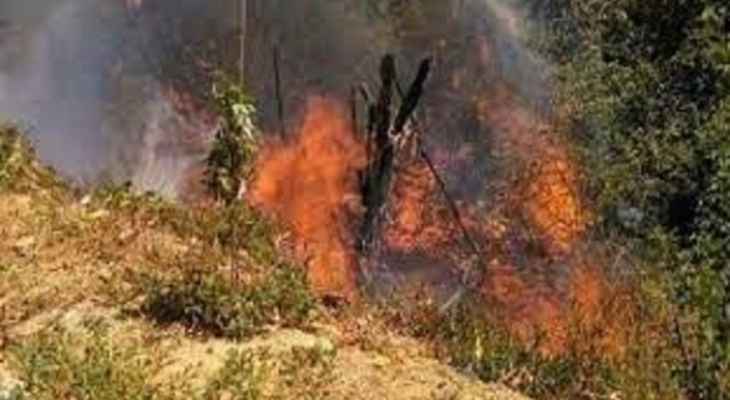 "النشرة": الدفاع المدني اخمد حريق اعشاب في الصرفند - الزهراني