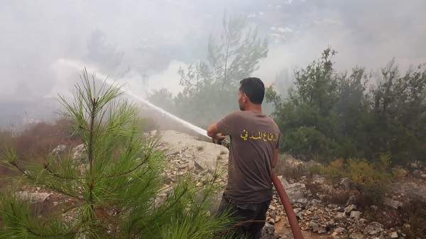 حريق كبير في أحراج صنوبر وسنديان في رحبة - عكار