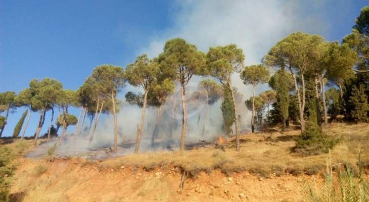 النشرة: اندلاع حريق في غابة في صغبين والدفاع المدني يعمل على اخماده