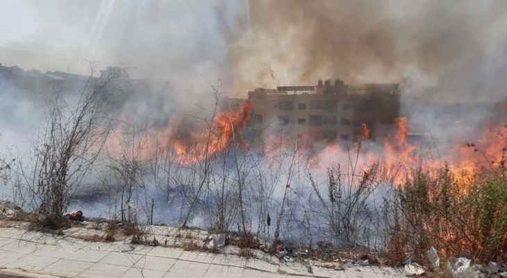 النشرة: إندلاع  حريق اعشاب في صيدا وفرق الإطفاء عملت على اخماده