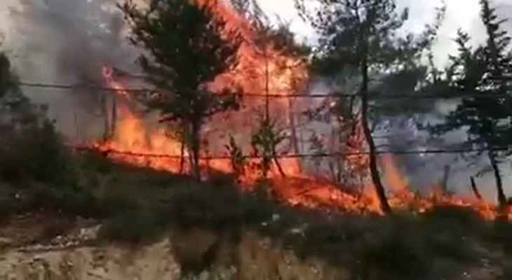 إدارة مخاطر الكوارث في السرايا: تم تفعيل غرفة العمليات الوطنية لمتابعة حريق بطرماز