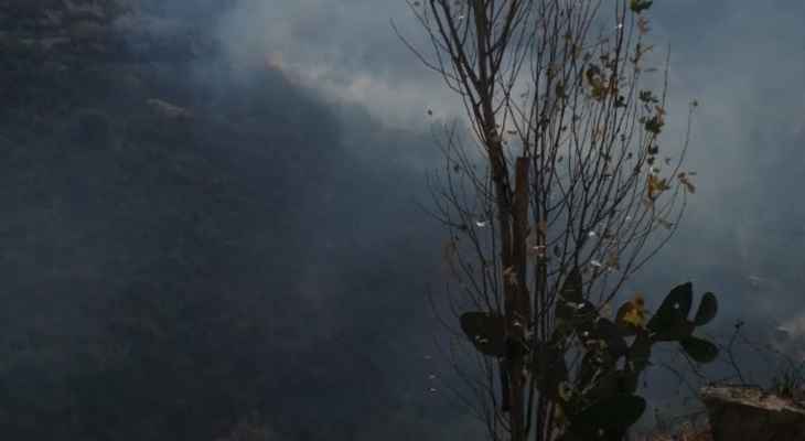 حريق في وادي بلدة دير انطار في الجنوب