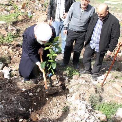 بلدية جبشيت غرست حوالي 350 شجرة مثمرة وحرجية بحمية شهداء المقاومة