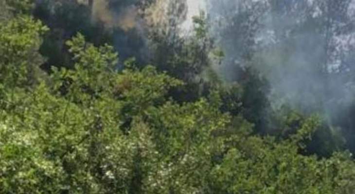 إخماد حريق شب في حرج من الأشجار في بيت الفقس وحريقي أعشاب آخرين في رياق وقب الياس