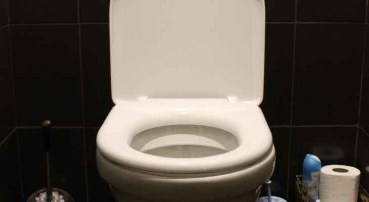 المحكمة العليا في إيطاليا تُصنّف "صوت المرحاض" كانتهاك جديد لحقوق الإنسان