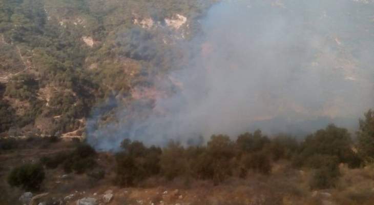 الدفاع المدني: السيطرة على حريق أعشاب واشجار في عاريه