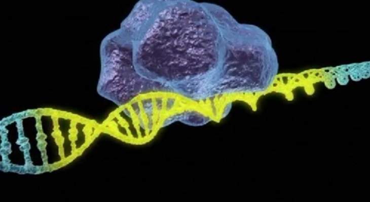 علماء أميركيون يجرون تجربة طبية مثيرة للجدل لتعديل الجينات
