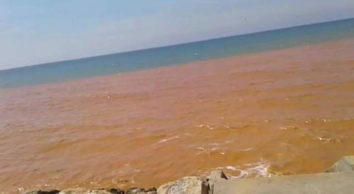"البحر الأحمر" يعود إلى السان سيمون ووزير البيئة "مش فاضي"