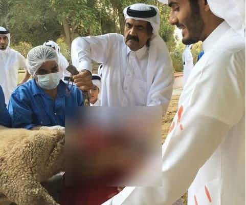 صورة لأمير قطر السابق وهو يذبح خروف بعيد الأضحى