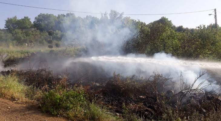 الدفاع المدني: اخماد حريق أعشاب واشجار في ظهور العبادية