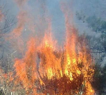 اصابة 3 عناصر من الدفاع المدني في حريق بينو 