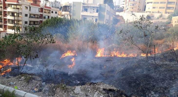 النشرة: إخماد حريق أشجار وهشير في قرية السلا بشرق صيدا
