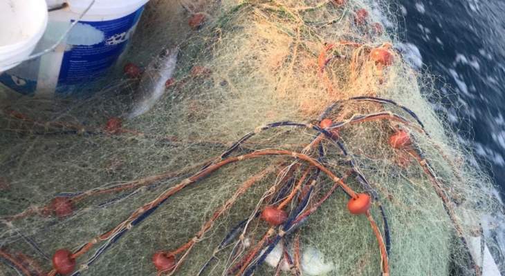 بيغ سمكة بـ 820 الف ليرة في ميرة صيدا