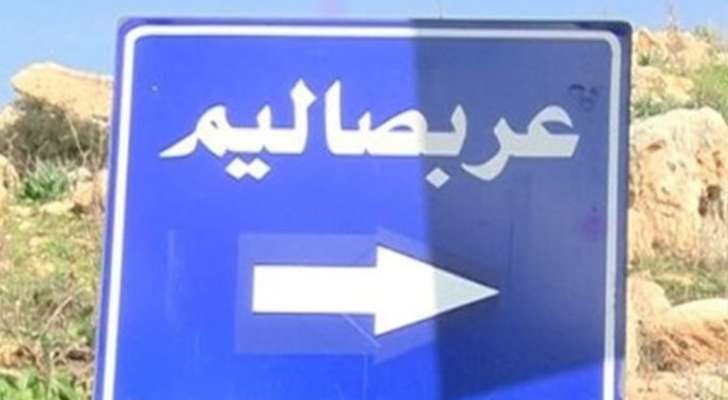 "النشرة": 3 شهداء نتيجة غارة إسرائيلية استهدفت بلدة عربصاليم