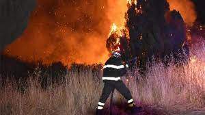 ارتفاع حصيلة الوفيات فى حرائق إيطاليا إلى 5 أشخاص